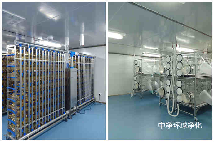 動物實驗中心建設規劃布置